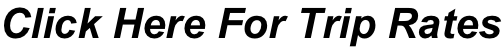 shapeimage_22_link_0